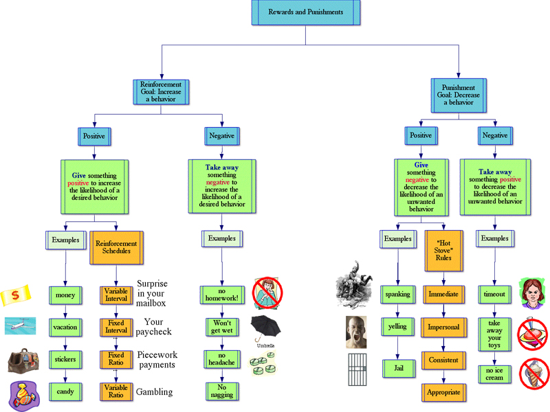 Example of a plan of development in an essay